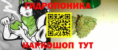 молекула духа Донецк