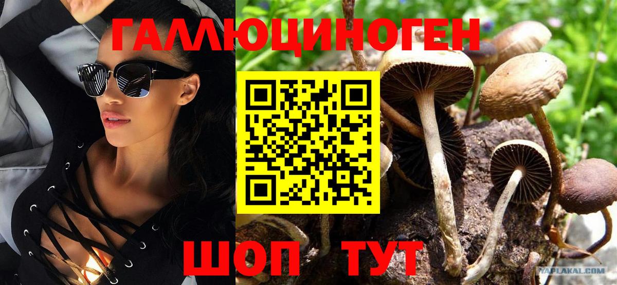 Галлюциногенные грибы MAGIC MUSHROOMS Дятьково
