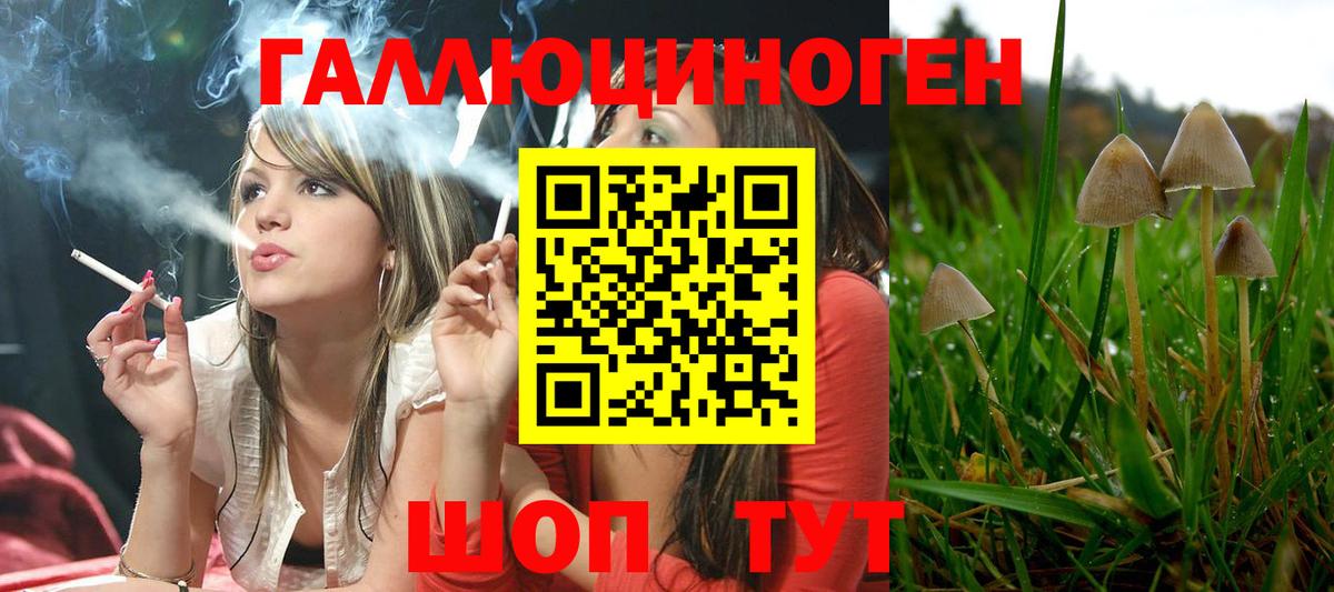 Дятьково  Галлюциногенные грибы мицелий  Псилоцибиновые грибы Cubensis  Вход с VPN 